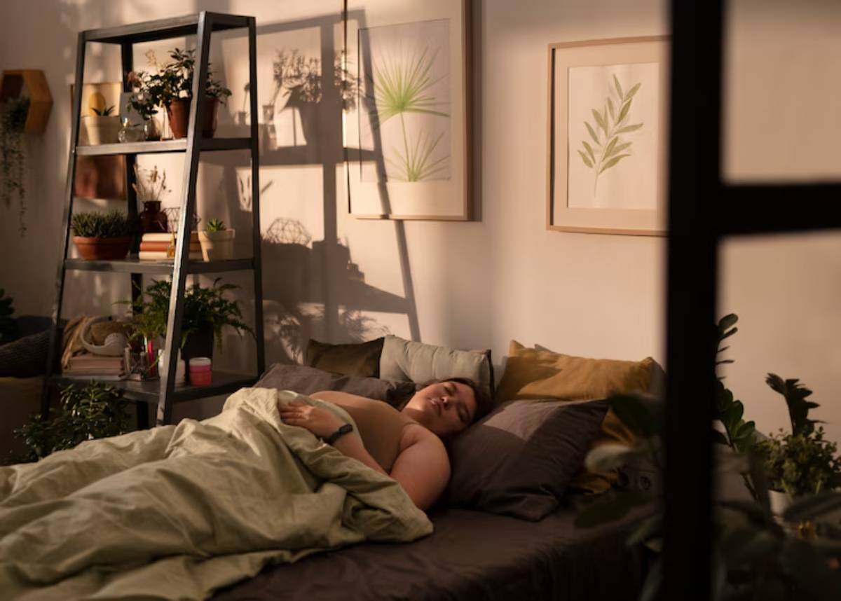 A cozy bedroom with a bed covered in soft linens and a bookshelf lined with plants and books, illuminated by warm evening light.