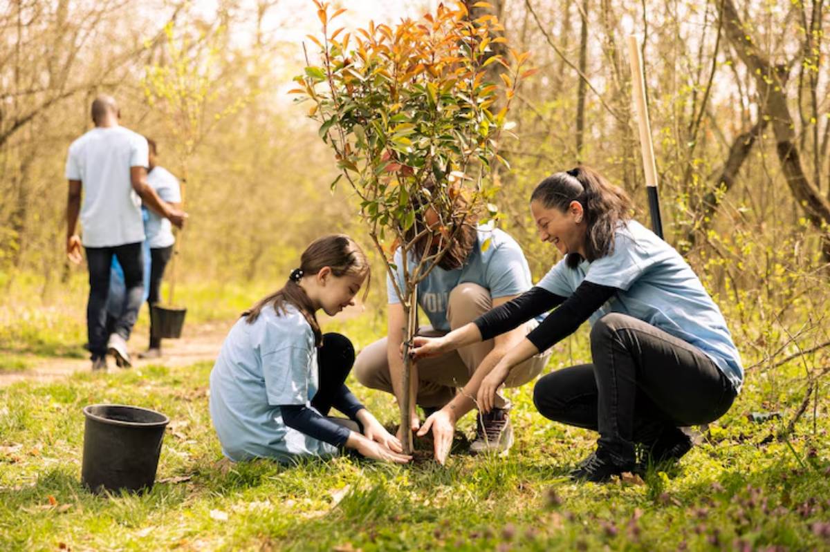 A group of people plant a young tree in a forested area, surrounded by greenery and sunlight, engaged in environmental volunteering.
